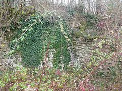 Le castrum d'Andone envahi par la végétation en 2010.