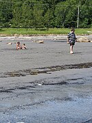 Route 138, beach, gulf of St Lawrence