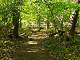 Upstream entrance of the B trail, with the C&O Canal towpath in the background