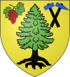 Blason de Steinbach