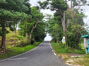 Puerto Rico Highway 641 in Río Arriba Poniente