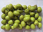 錫蘭橄欖 Ceylon olive