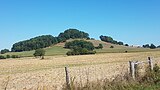 Motte castrale sur laquelle était situé l'ancien château.