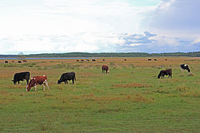 Paysage de Kassari