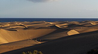 马斯帕洛马斯沙丘（英语：Maspalomas Dunes）