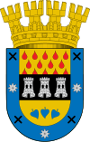 Wapen van Chillán