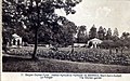 Potager de l'Institut agricole et horticole de Bierbais.