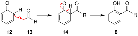 Mechanismus 2 der Photo-Fries-Umlagerung über Radikale