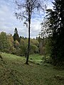 A meadow along Gotaleden