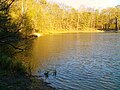 Teufelssee (Westseite) Blick Richtung Nord-ost