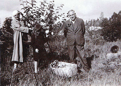 Lauri Kristian Relander, the former President of Finland, with his family picking apples in the 1930s