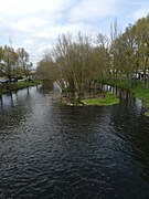 O río en Xinzo de Limia.