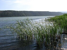 Вид с северного берега озера Шаско, июнь 2011 года