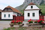 Two old houses with white facades, flower pots in front