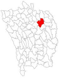 Location in Vaslui County