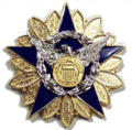 Auxiliary National Staff Badge