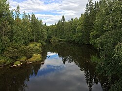 Вид по течению