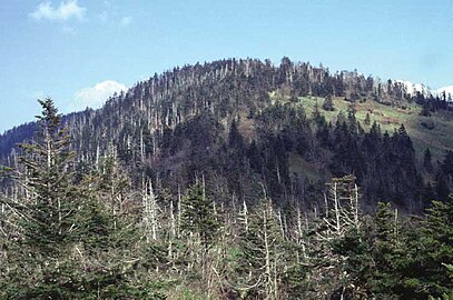 17. Kuwohi in Tennessee (formerly Clingmans Dome)