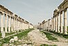 Overview of the Great Colonnade at Apamea in Syria