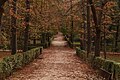 Autumn seen in a park in Madrid, Spain