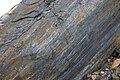 Slickensides on a fault plane, south wall of Bear Valley Strip Mine. Lens cap 5.8cm wide.