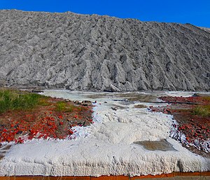 13. Platz: Raugeier mit FFH Binnensalzstelle entlang des Rands der Abraumhalde des ehemaligen Kaliwerks Ronnenberg