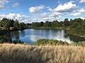 Lake in Brickfields Meadow