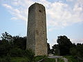 Tour du château de Monsummano Alto.