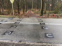 Marquage pour chevaux et, à droite, la drève de Lorraine dans sa partie non carrossable