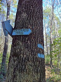 Natchaug Trail northern trailhead at intersection with Nipmuck Trail in Ashford, CT.