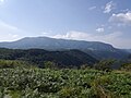 Pleșa peak seen from Cornetul Mountain.