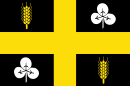 Drapeau de Raalte