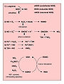 Vignette pour la version du 28 août 2009 à 19:04