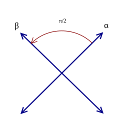 Root system D2