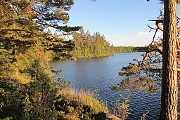 Tjurken i solnedgången 1 juni 2017.