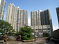 Trident 3 blocks in Tin Yiu Estate, Tin Shui Wai. They are built in 1992.