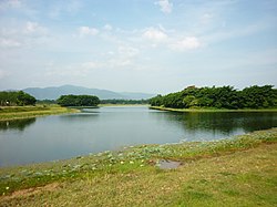 Bueng Nam Sai, a natural lake in Raman District, 26 km from Yala City, it was once the habitat of rare species of fish Asian arowana