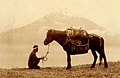 Cheval devant le mont Fuji, années 1890