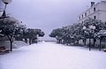 Un jour d'hiver à Arcachon en 1990...