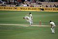 Brett Lee bowling (photo 5 of 5).