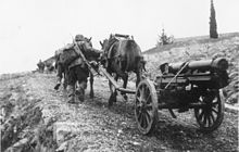 a soldier leading a team of two horses pulling a mountain gun up a hill