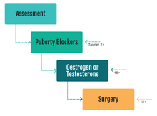 Outline of medical pathway at start of Review