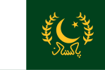 巴基斯坦总统旗帜