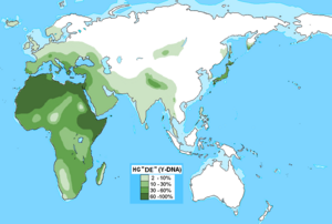 하플로그룹 DE의 분포