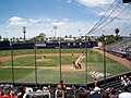 University of Arizona Wildcat baseball team vs University of Hawaii, May 2015