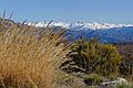 Blick von Bézaudun-les-Alpes auf das Mercantour-Massiv