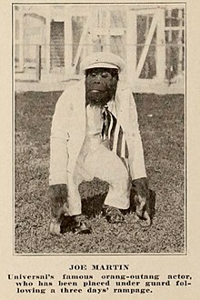 Wearing white suit, cap, necktie and shoes; enclosures are made of whitewashed wood and poultry fencing; original caption reads: Universal's famous orang-outang actor has been placed under guard following a three days' rampage