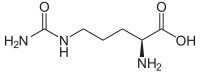 Image illustrative de l’article Citrulline