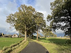 The Pothofweg in Anevelde