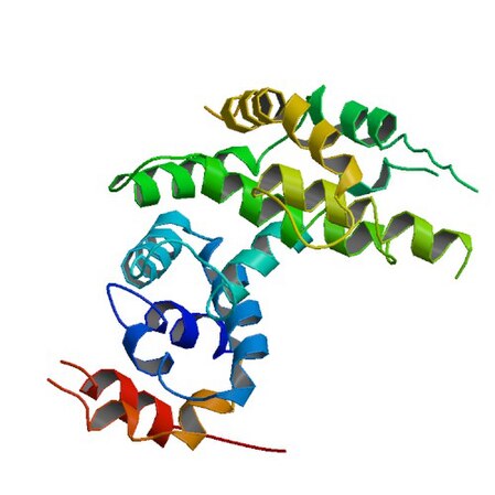 PBB Protein NF1 image